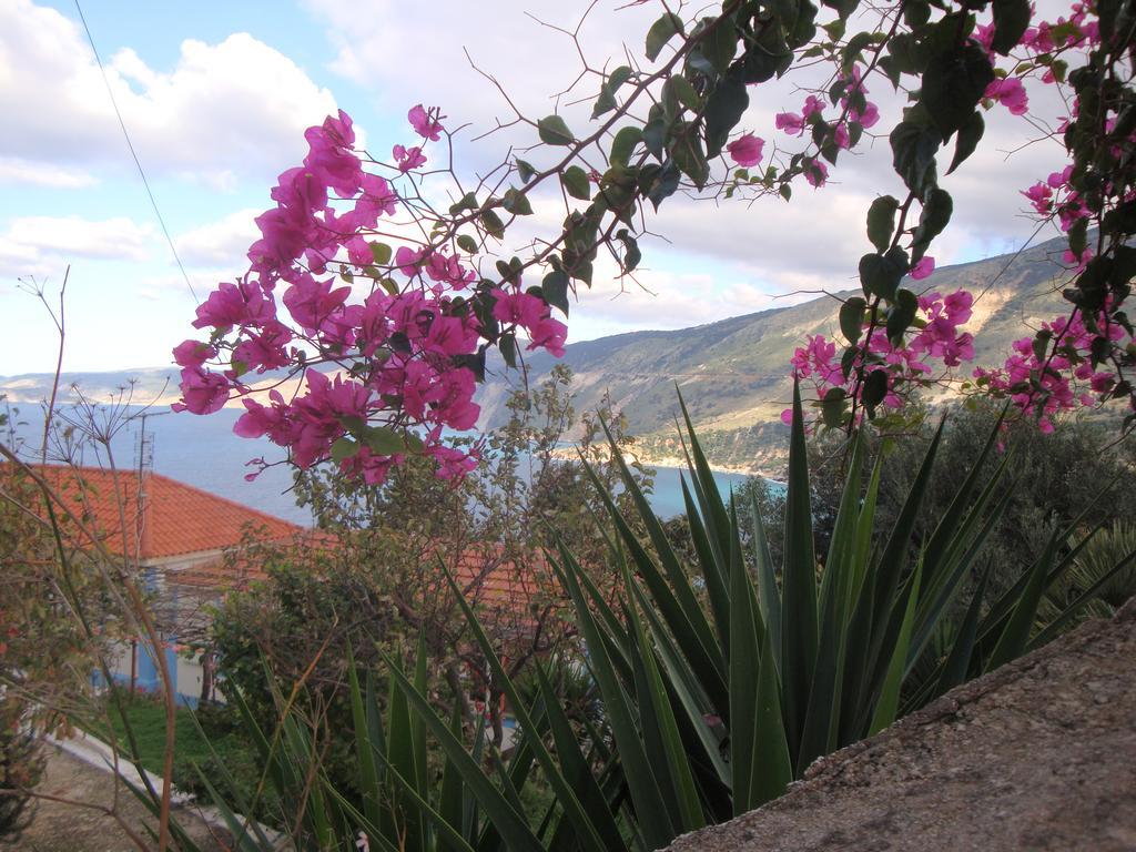 Zóla Rogakia Village Est. 1983 מראה חיצוני תמונה