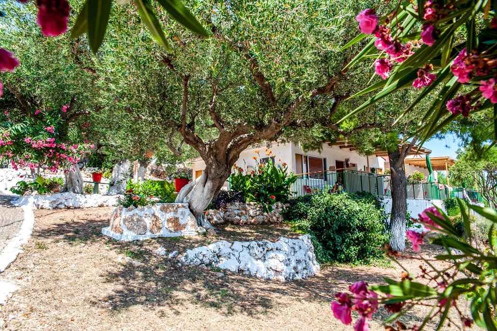 Zóla Rogakia Village Est. 1983 מראה חיצוני תמונה