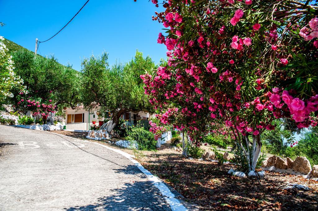 Zóla Rogakia Village Est. 1983 מראה חיצוני תמונה
